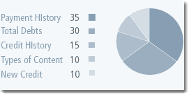 Credit Score Pie Graph